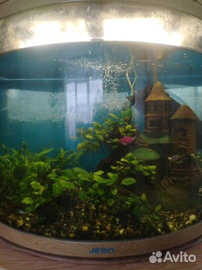 Аквариум с рыбками и тумбой
