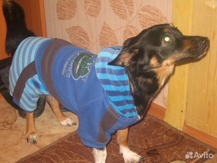 Костюм для собаки.новый.на Флисе