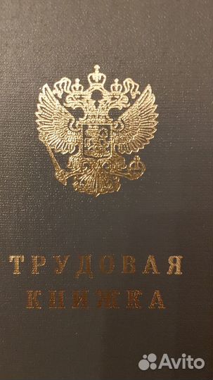 Трудовая книжка ТК-1