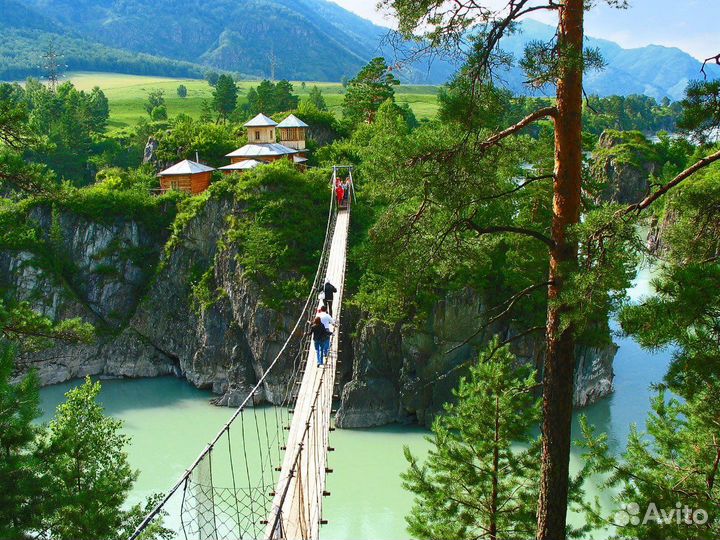 Трансфер Тур Выходного дня Поездка в Горный алтай