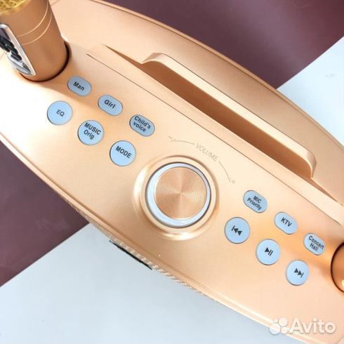 Караоке система sdrd SD-306 plus С микрофонами