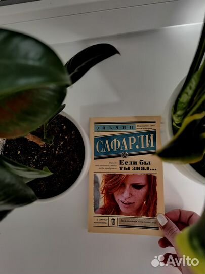 Эльчин Сафарли 