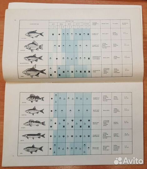 Рыболову в Ленинграде и Ленинградской области