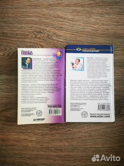 Игорь Вагин Имейте деньги Выиграй у судьбы в рулет