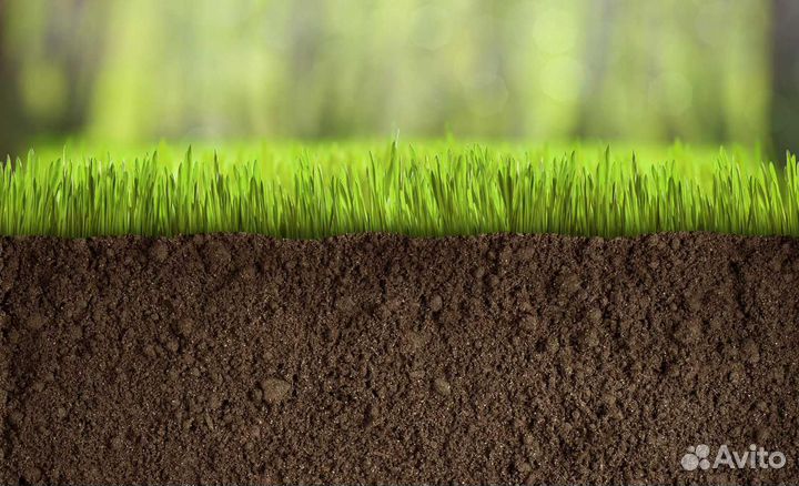 Грунт для газона