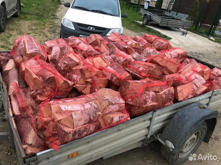 Дрова колотые березы