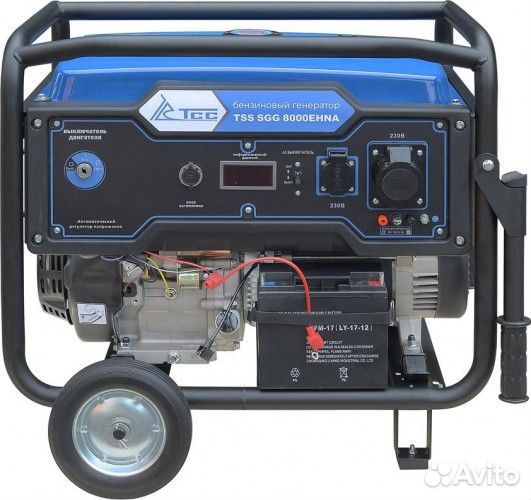 Генератор бензиновый тсс SGG 8000 ehna 160014
