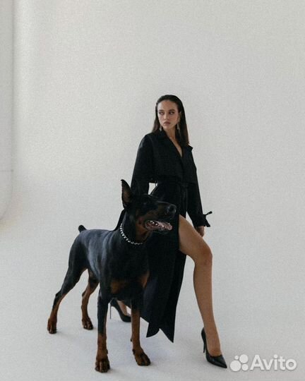 Фотосессия с доберманом