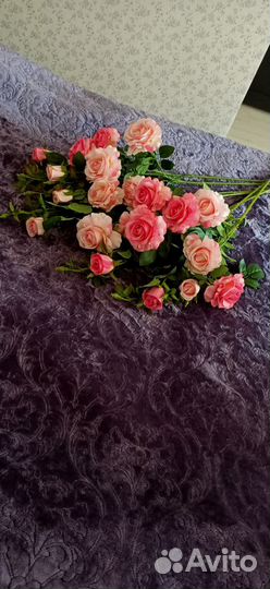 Интерьерные цветы