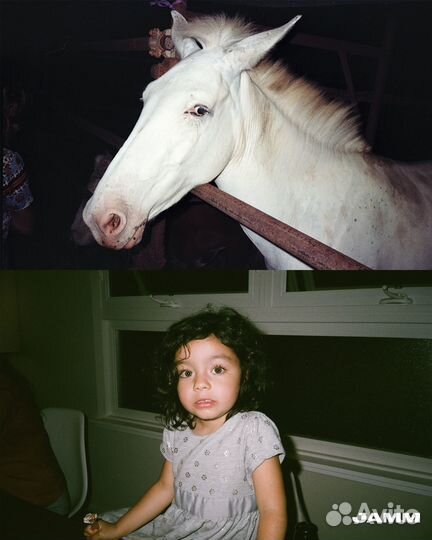 Nikon L35AF Pikaichi