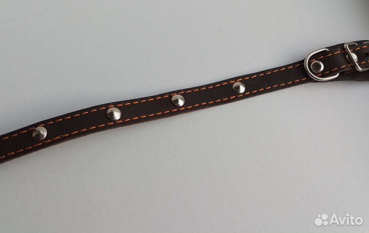 Ошейники, шлейка, светящийся маячок для собак