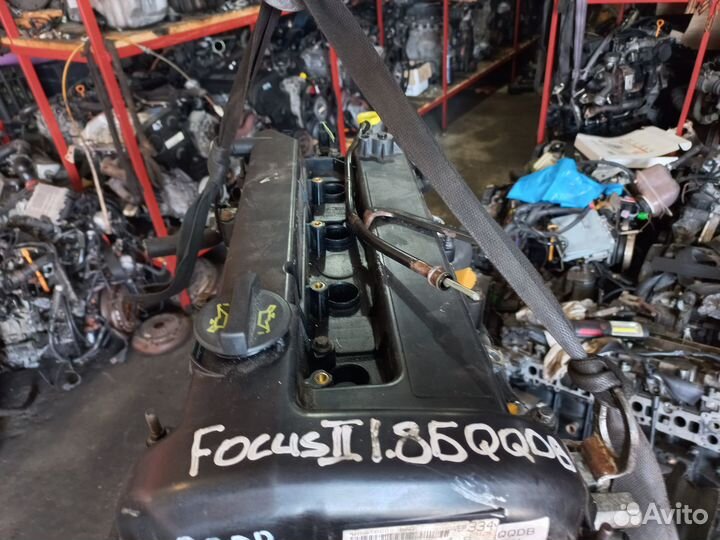 Двигатель qqdb 1.8 Ford Focus 2, C-Max