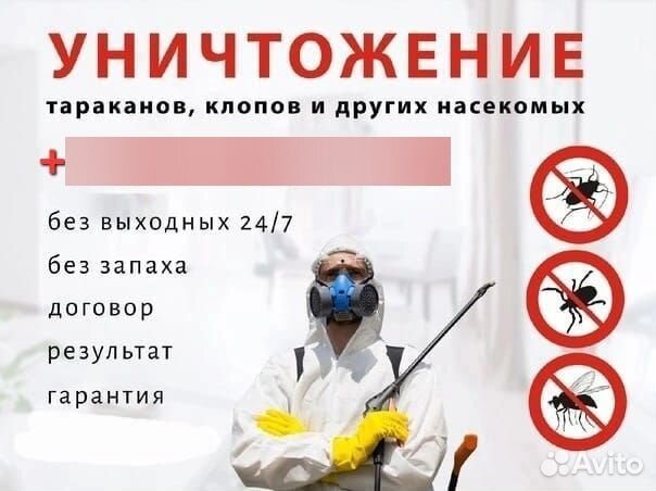 Дезинфекция от насекомых
