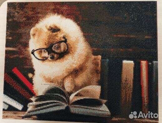 Алмазная мозаика на подрамнике 40*50 Шпиц собака