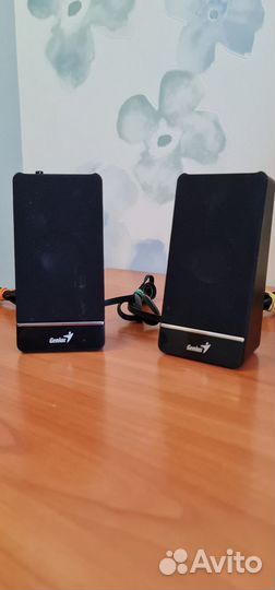 Колонки Genius SP-N 120