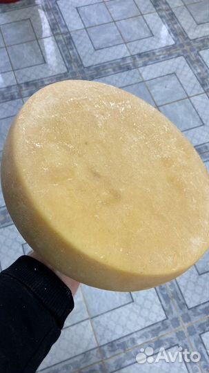 Научу варить сыр