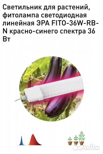 Продаю фитолампу светодиодную Эра 36 Вт