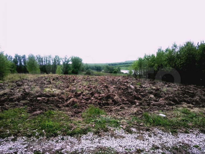 Участок 19 сот. (ИЖС)