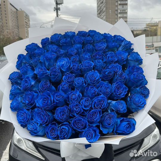 Синие розы/Букет из синих роз/21,31,51
