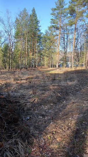 Участок 7,5 сот. (ИЖС)