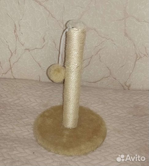 Когтеточка