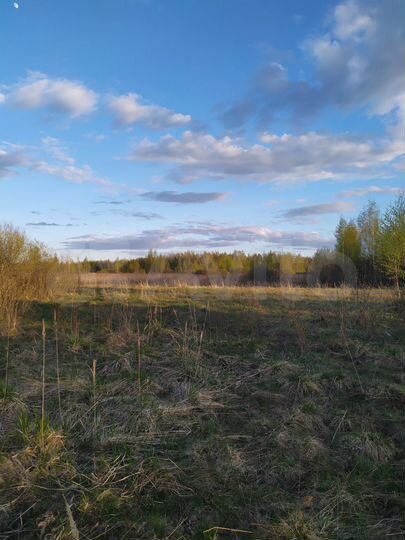 Участок 15 сот. (СНТ, ДНП)