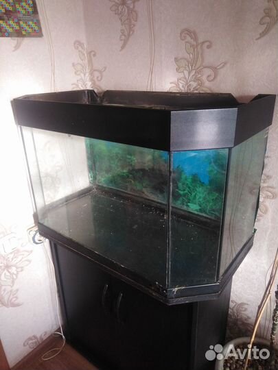 Продам аквариум
