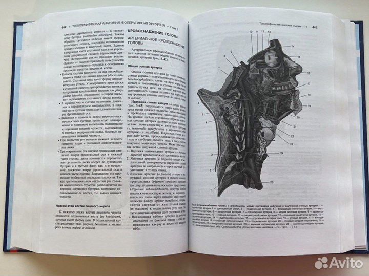 Топографическая анатомия и оперативная хирургия