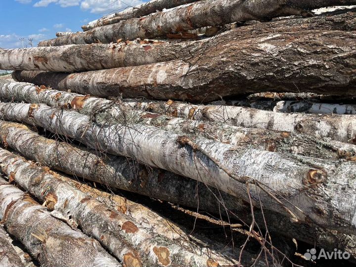 Дрова березовые с доставкой