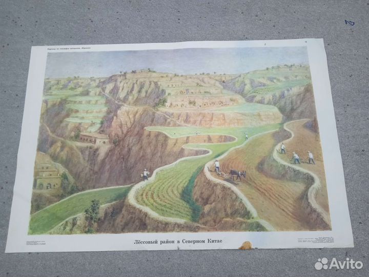 Учебные плакаты,картины СССР по географии 1979 год