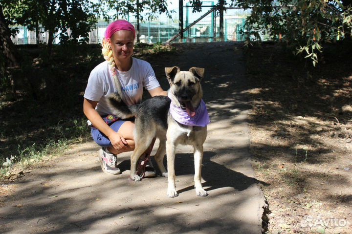 Молодая собака выживает в тяжёлых условиях приюта