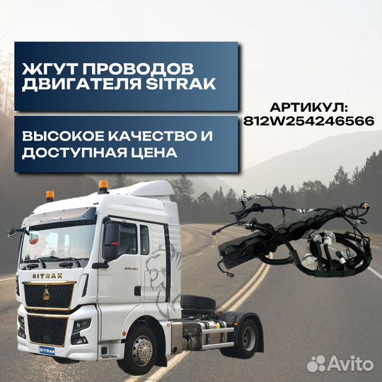 Жгут проводов двигателя sitrak