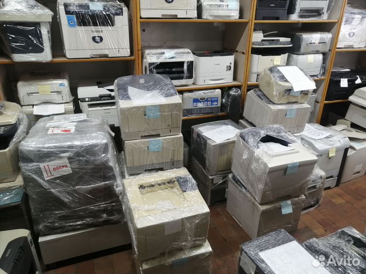 Принтер-Мфу. Продажа, ремонт