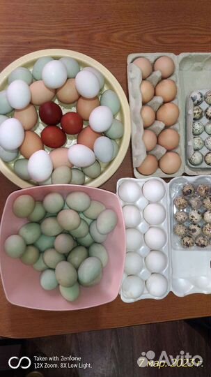 Яйцо куриное домашнее пищевое