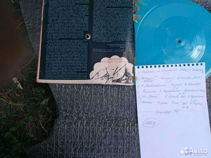 Гибкие пластинки