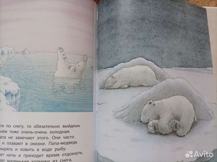 Книга Приключения белого медвежонка Ханс де Беер