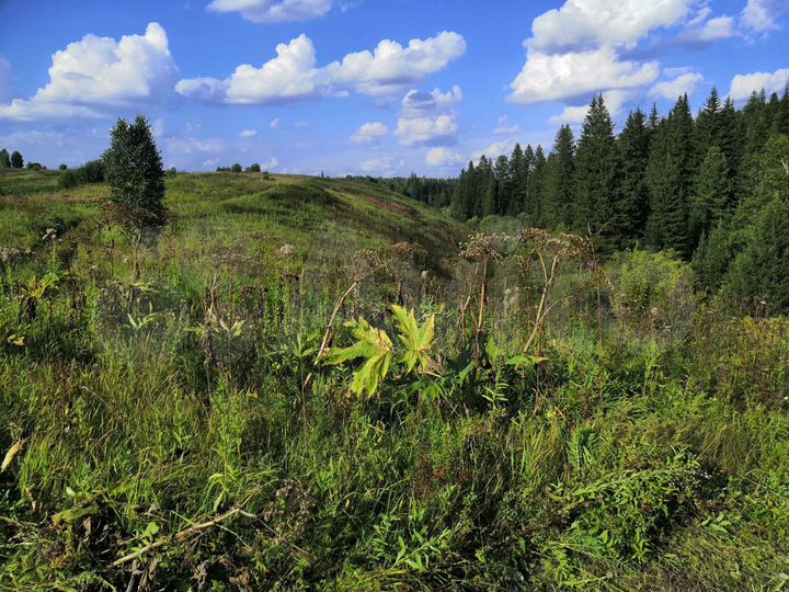 Участок 7,4 га (СНТ, ДНП)