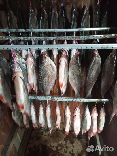 Вяленая сушеная рыба