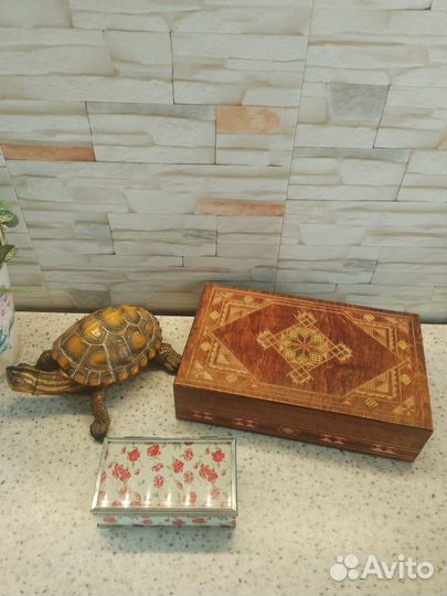Шкатулка из дерева СССР