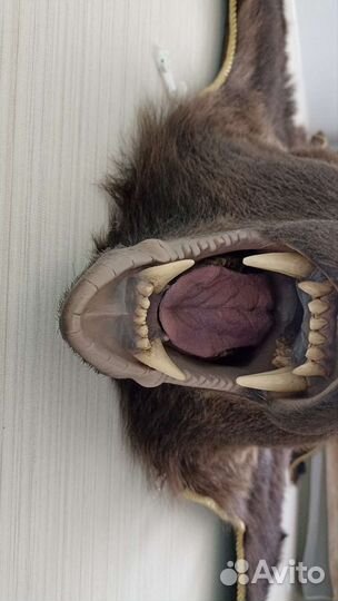 Шкура медведя имитация