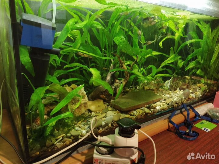 Аквариум с рыбками