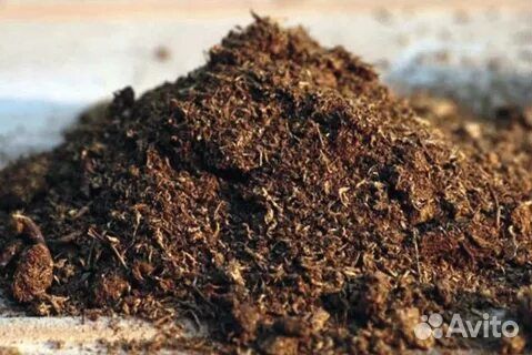 Навоз /перегной коровий
