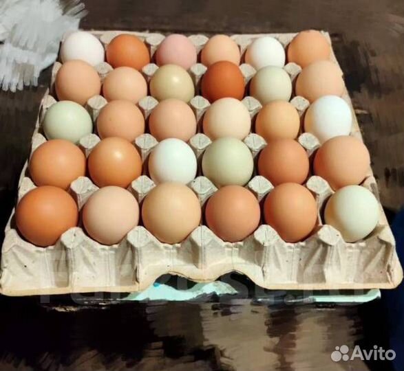 Домашние куриные яйца