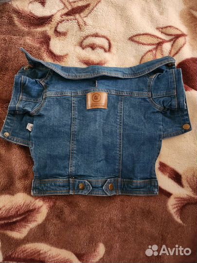 Вещи для маленьких собак