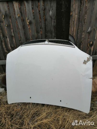 Капот и бампер