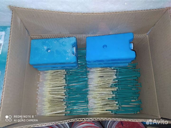 Пчелиное маточное молочко. Доставка в регионы