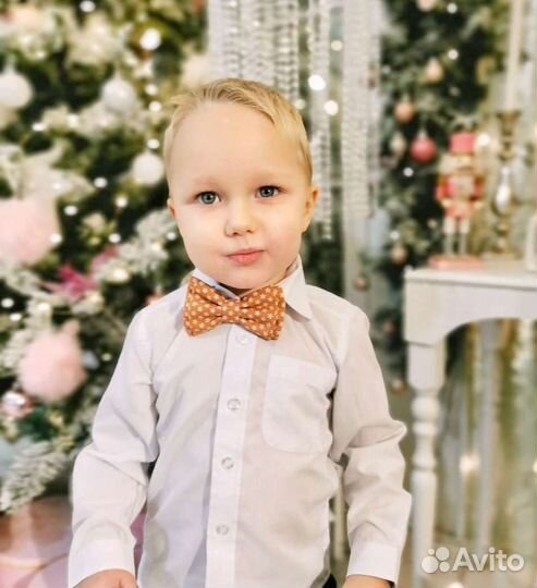 Галстук бабочка для мальчика