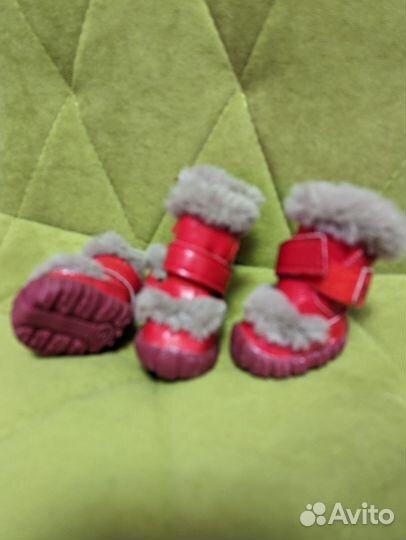 Обувь для собак, 5 размер