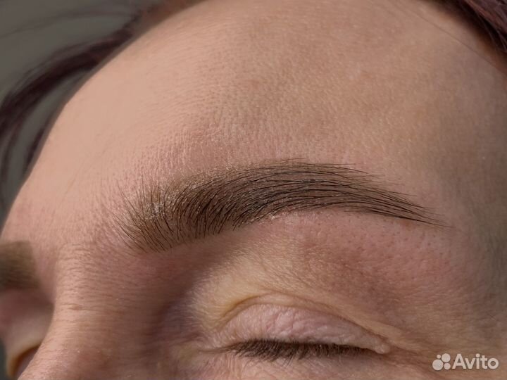 Master бровист