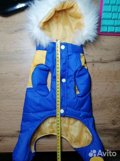 Комбинезон для мелких пород собак. Болонь утеплён